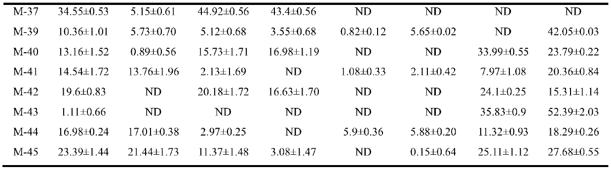 Staphylococcus carnosus capable of lowering biogenic amine and application of Staphylococcus carnosus