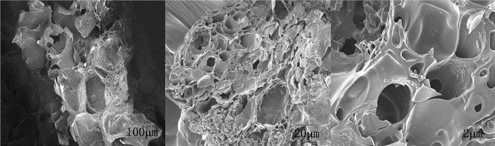 Peanut shell biochar composite hydrogel and application thereof in tobacco planting