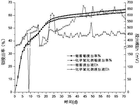 A method for bacteria leaching uranium from carbon-silicon mudstone-type uranium ore