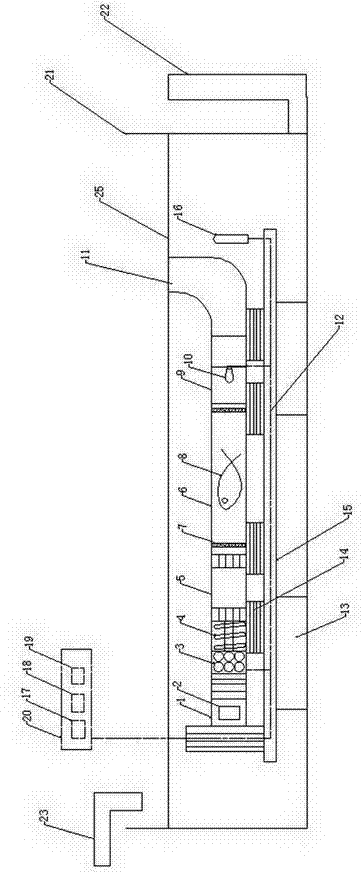 Fish swimming capability measuring method and submerged open-type testing device