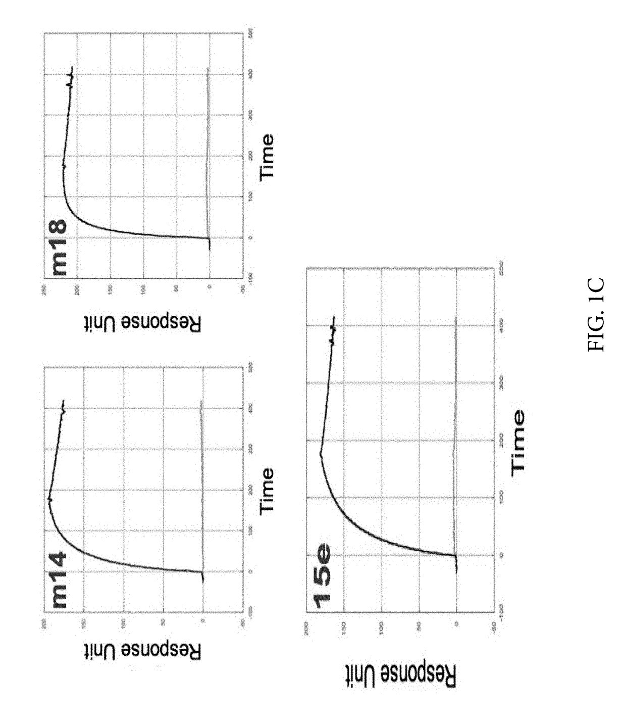 Engineered outer domain (eOD) of HIV gp120 and mutants thereof