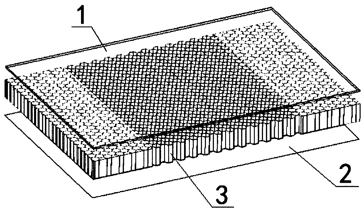 Processing and forming method of plastic hollow plate with honeycomb holes