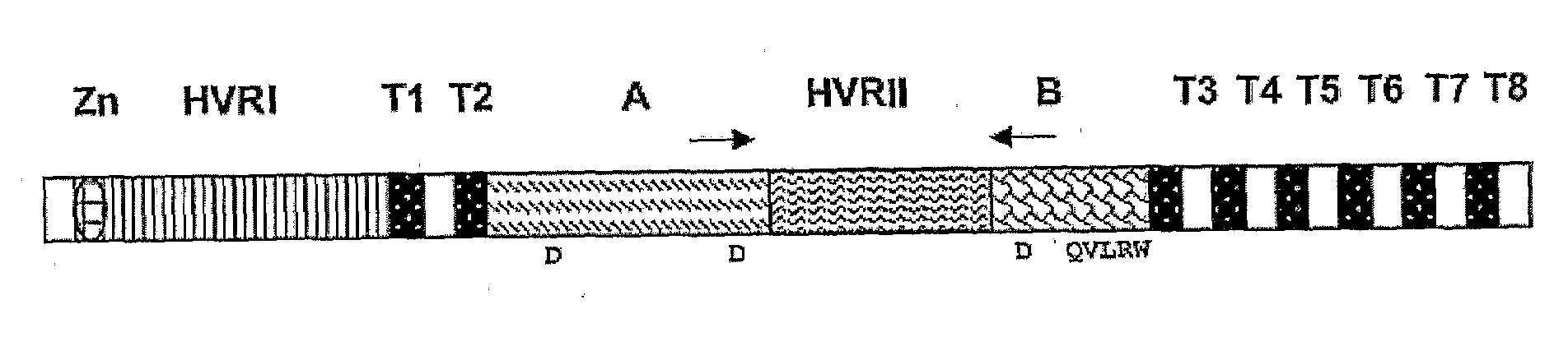 Methods for Enhancing Expression of Secondary Cell Wall Cellulose Synthases in Plants