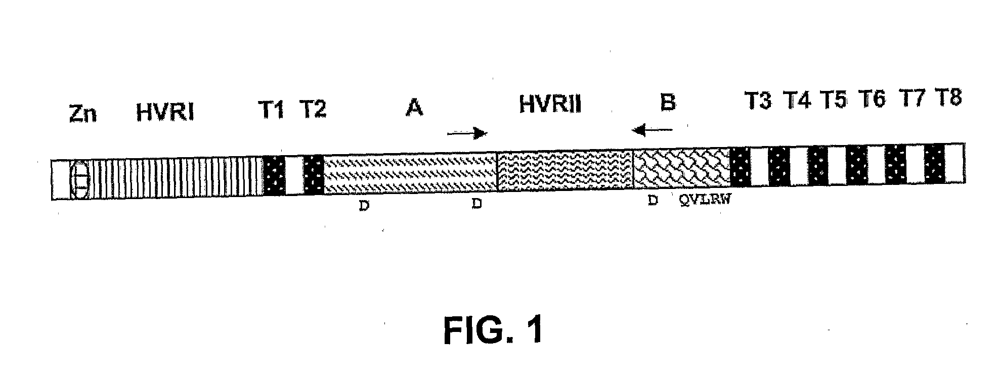 Methods for Enhancing Expression of Secondary Cell Wall Cellulose Synthases in Plants