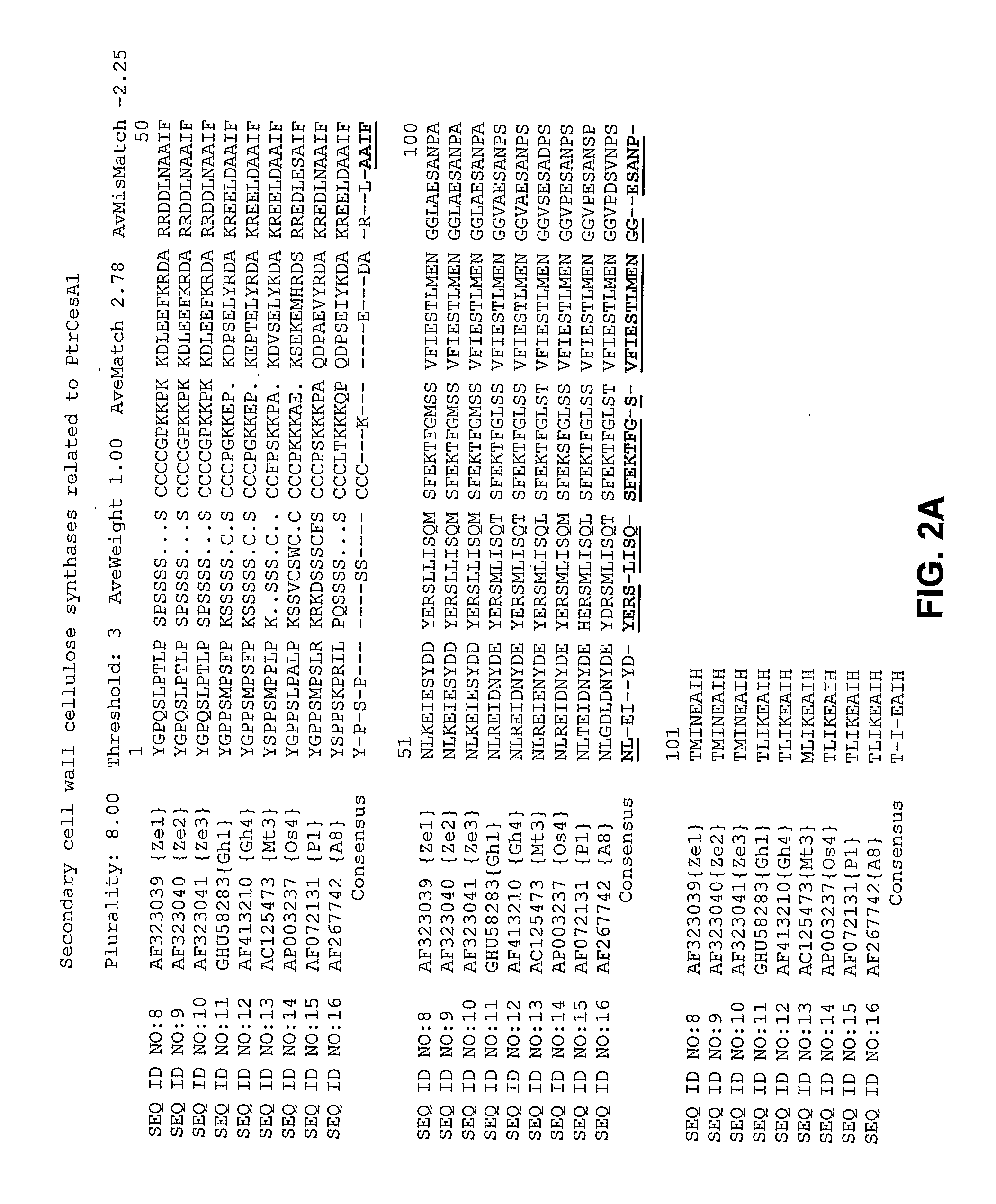 Methods for Enhancing Expression of Secondary Cell Wall Cellulose Synthases in Plants