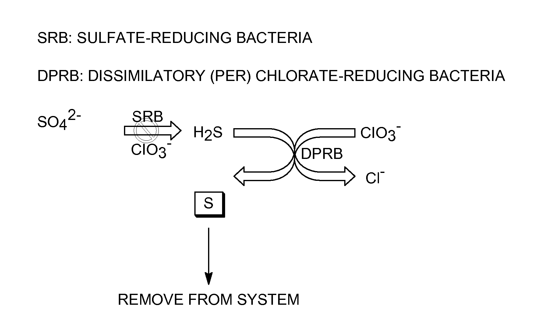 Microbial metabolism of chlorine oxyanions as a control of biogenic hydrogen sulfide production