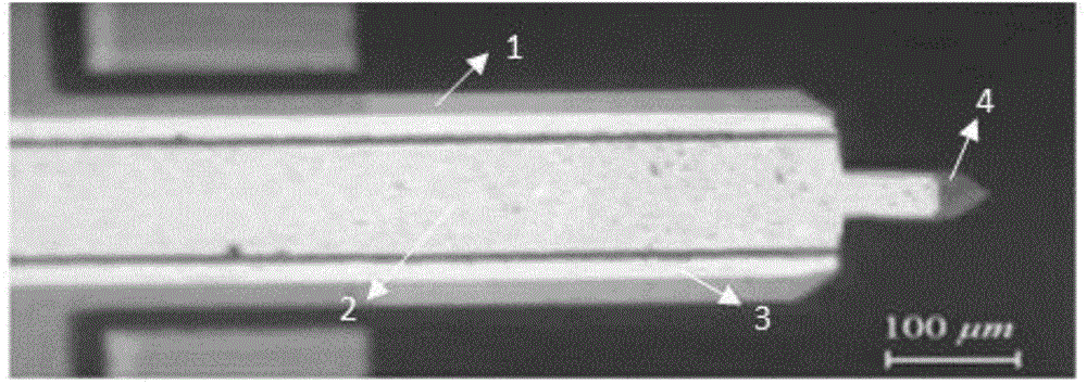 Probe self-damping method applied to fast scanning atomic force microscopy