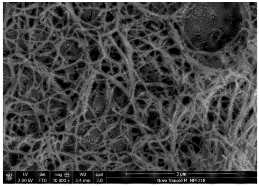 Preparation method and application of heteroatom-doped porous carbon nano-tube