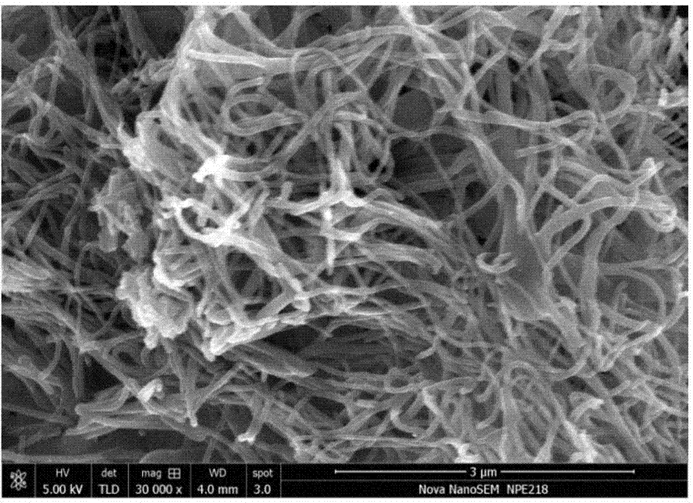 Preparation method and application of heteroatom-doped porous carbon nano-tube