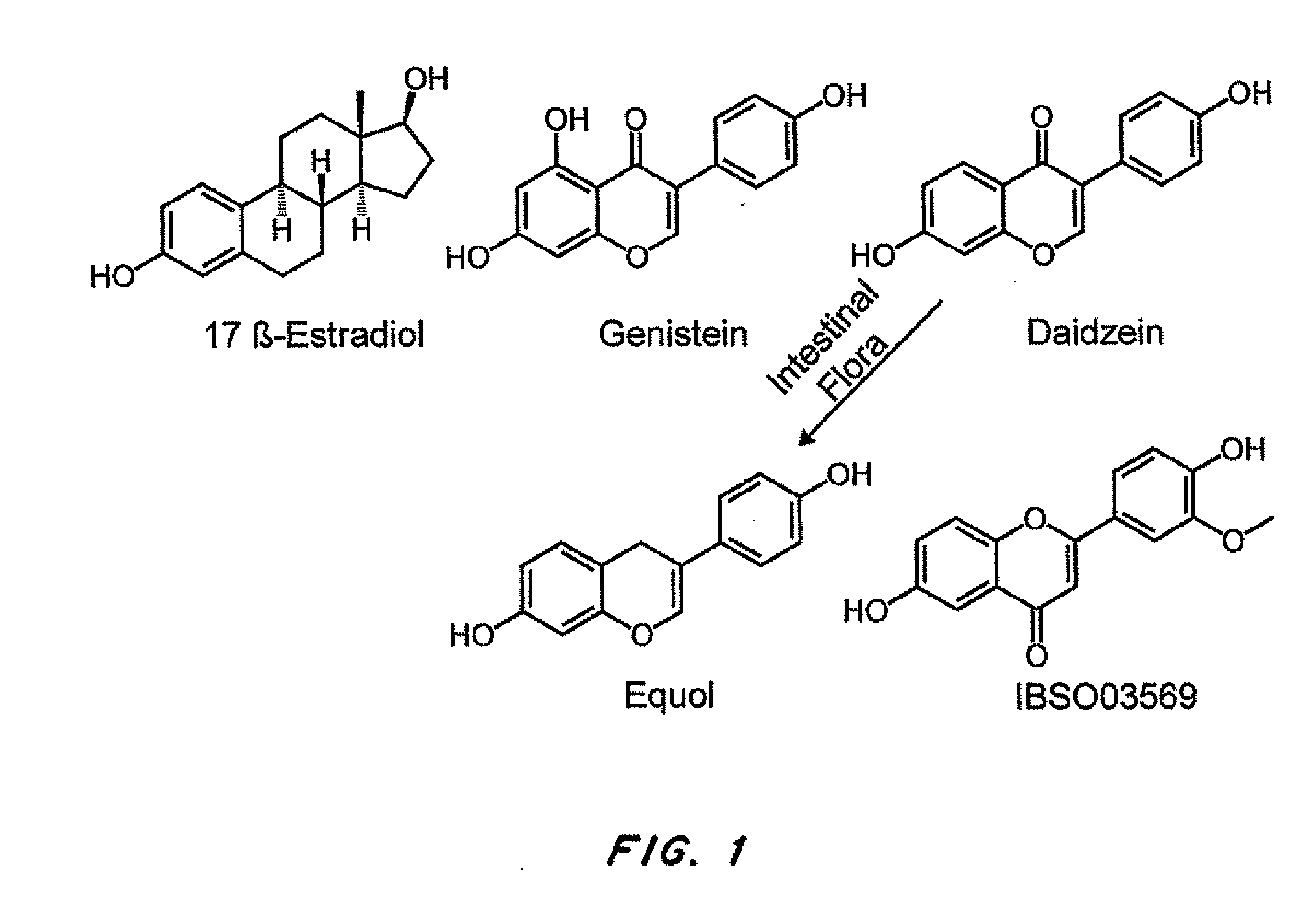 Phytoestrogenic formulations for alleviation or prevention of hair loss