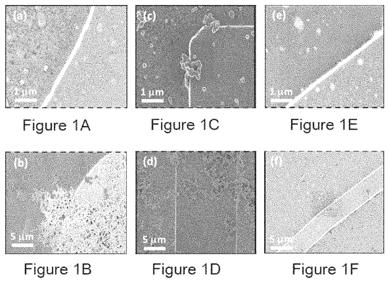 Morphology engineering of conductive metallic nanoparticles capped with an organic coating