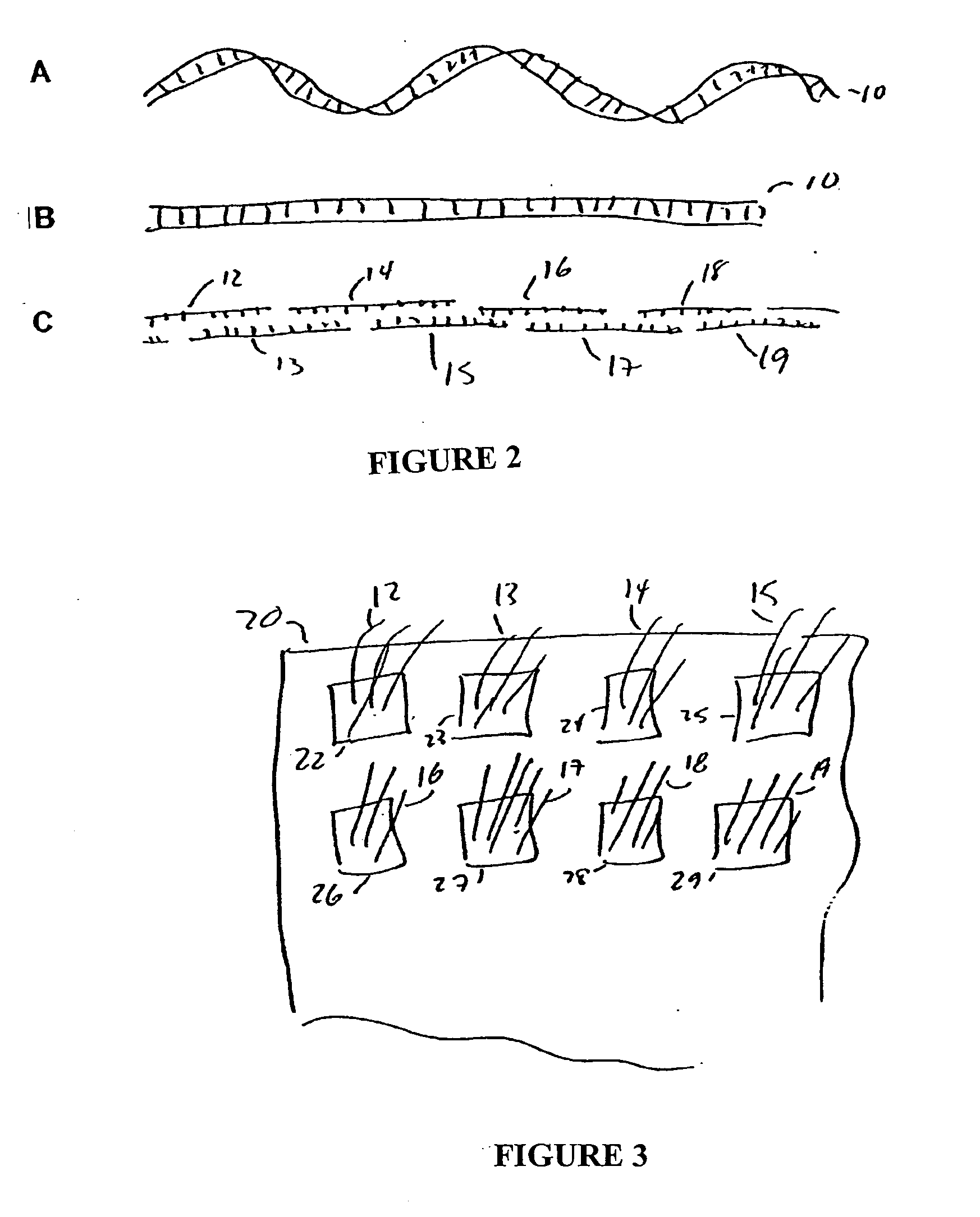 Compositions and methods for protein design