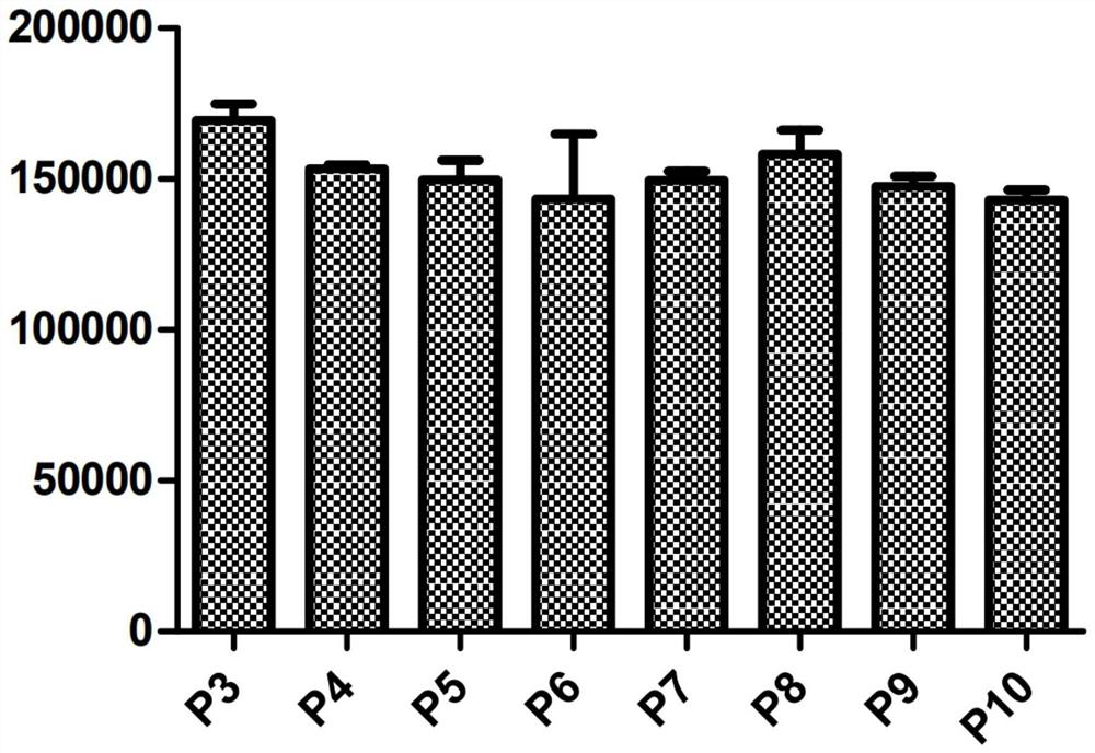High-wine-yield Klebsiella expressing luciferase and application thereof
