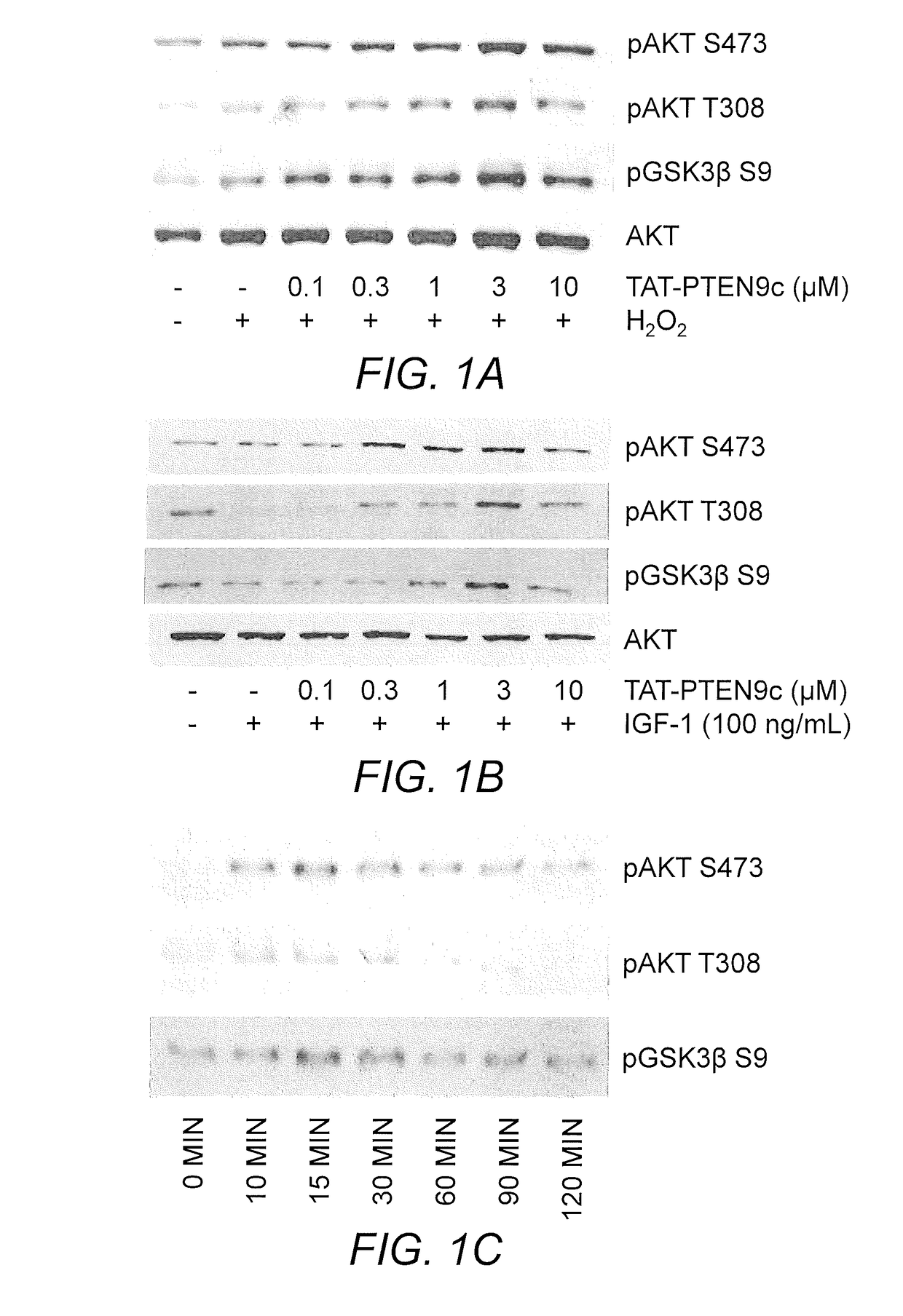Peptides and Method for Treatment of Cardiac Arrest