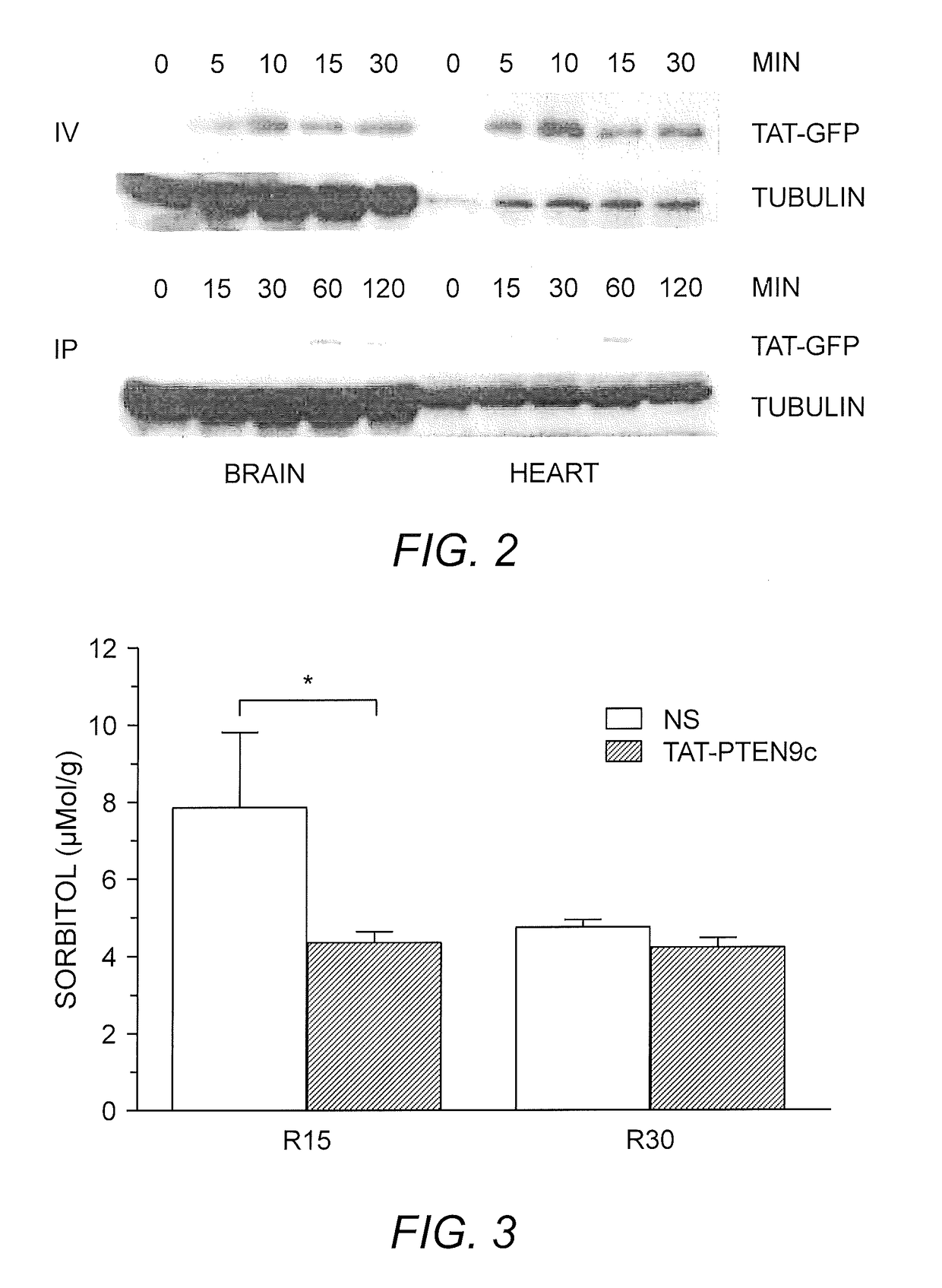 Peptides and Method for Treatment of Cardiac Arrest