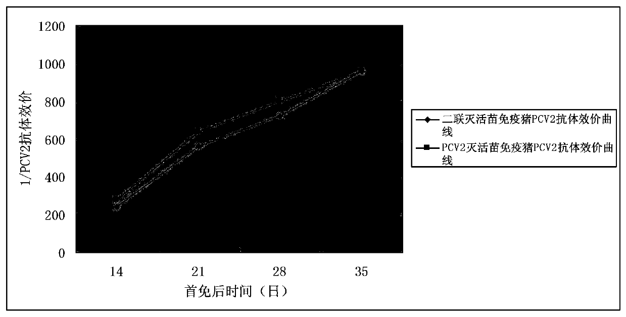 Porcine circovirus type 2, Mycoplasma hyopneumoniae double inactivated vaccine and preparation method thereof