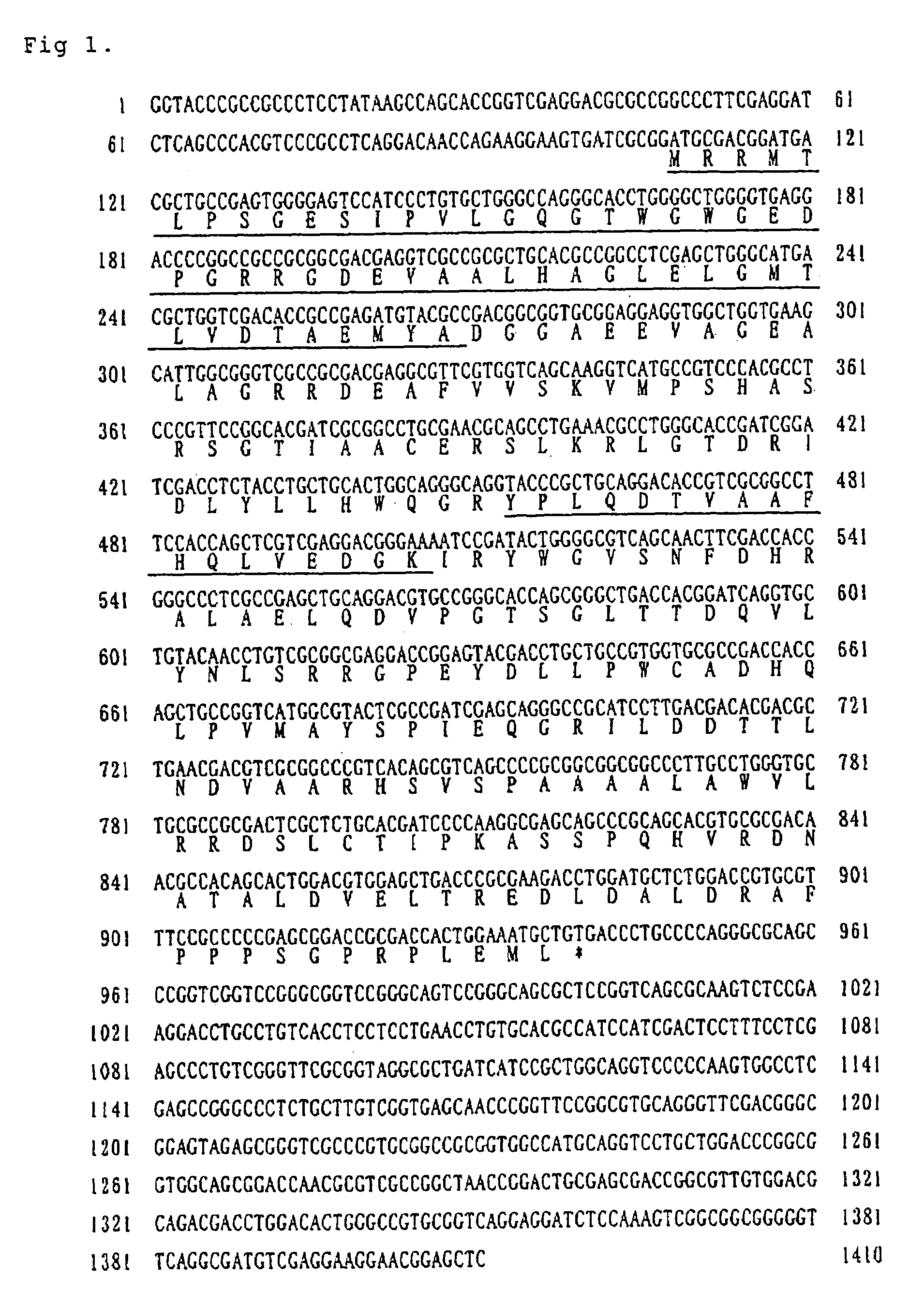 Carbonyl reductase, gene thereof and method of using the same