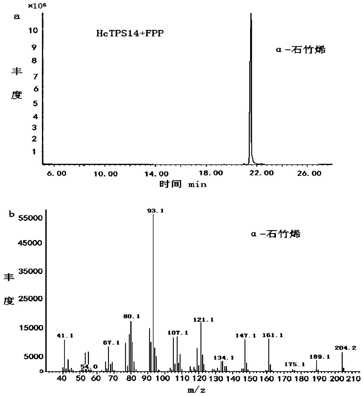 Hedychium coronarium sesquiterpene synthetase gene HcTPS14 and application thereof