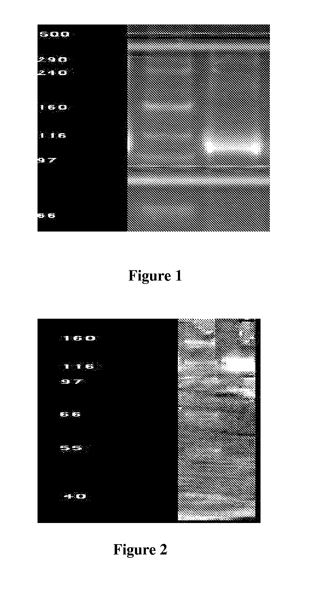 Method and system for lactose-free or lactose-reduced milk and associated products, production thereof, and associated processes