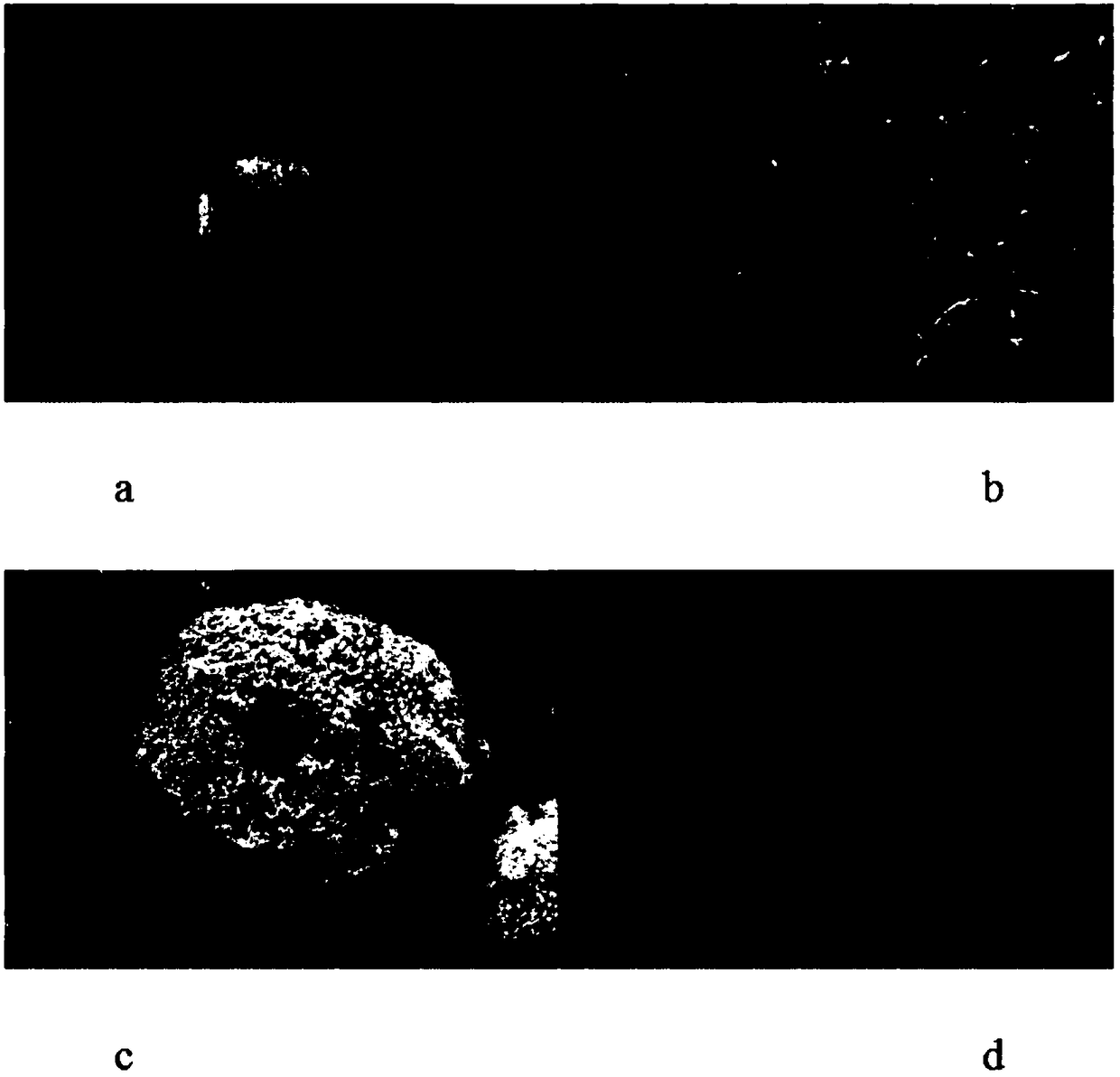 A kind of freeze-drying preparation method of dispersion strengthened tungsten powder