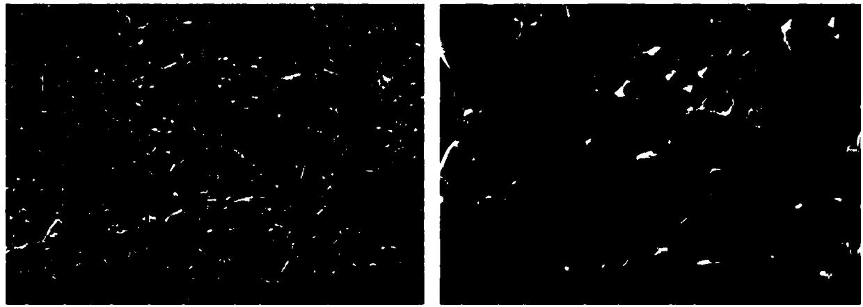 A kind of freeze-drying preparation method of dispersion strengthened tungsten powder