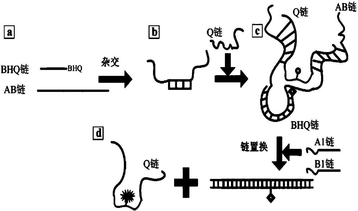 DNA self-assembling structure and symmetrical encryption system based on DNA self-assembling structure