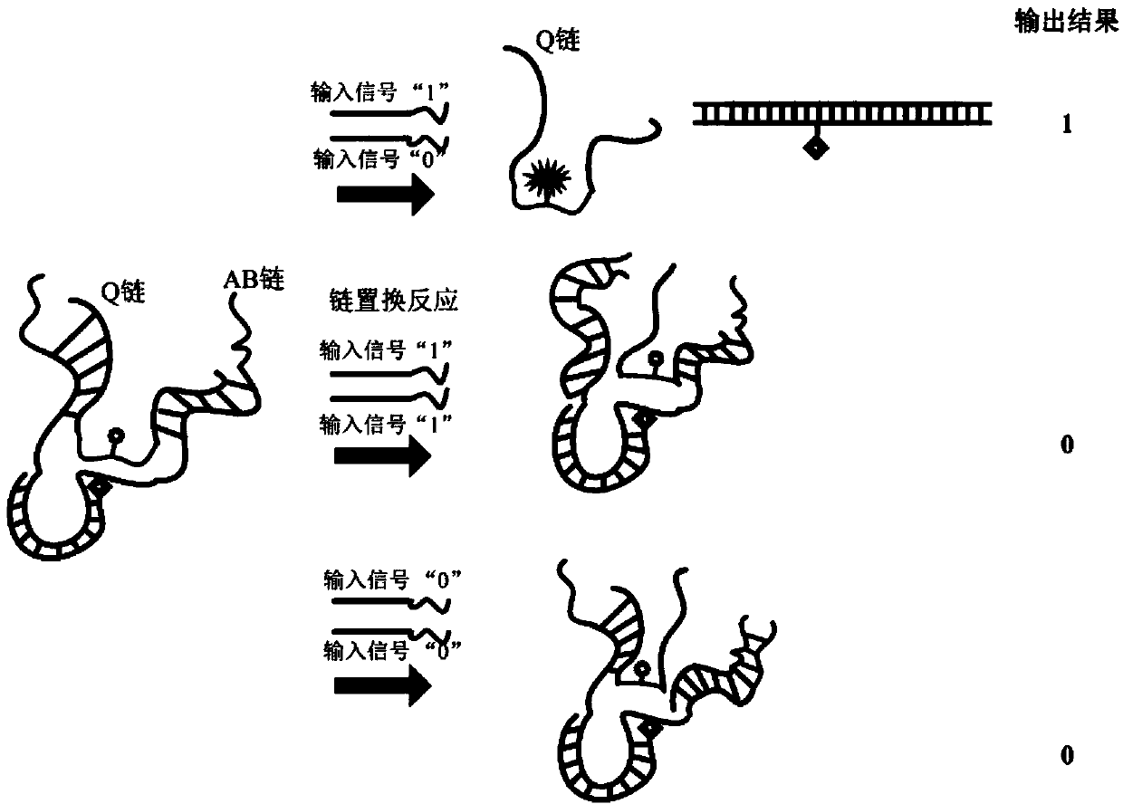 DNA self-assembling structure and symmetrical encryption system based on DNA self-assembling structure