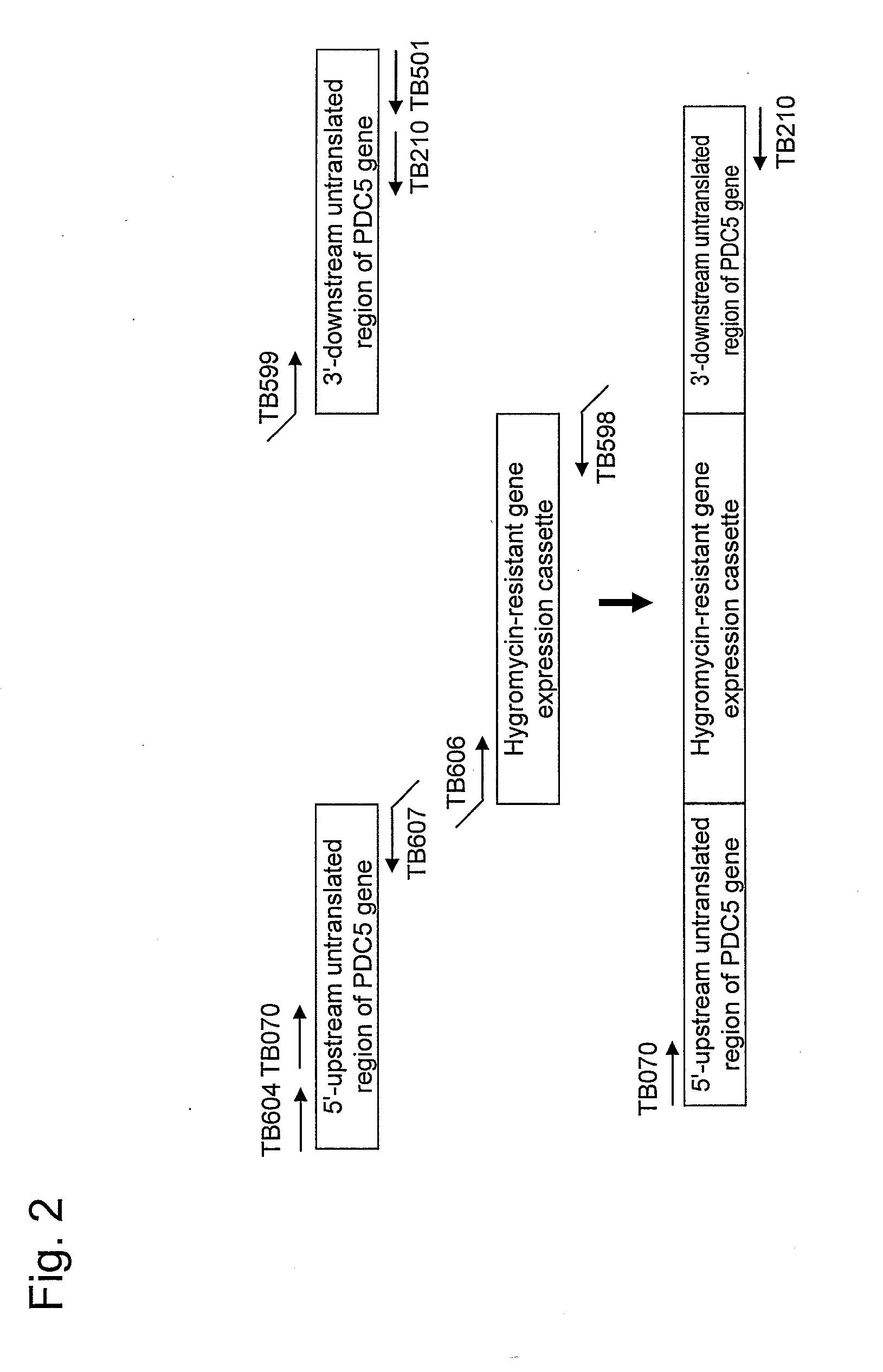 Yeast mutant and substance production method using the same