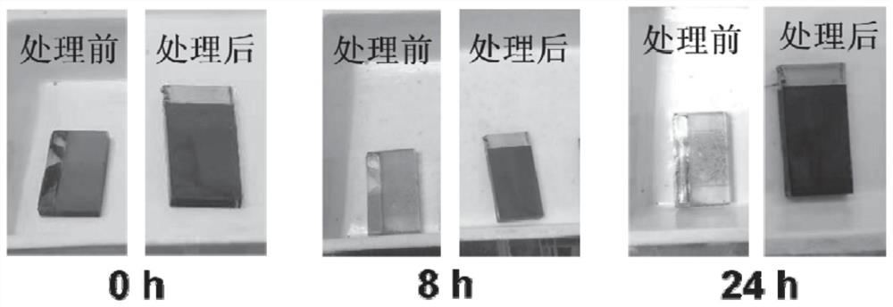 Method for passivating perovskite thin film layer and perovskite solar cell