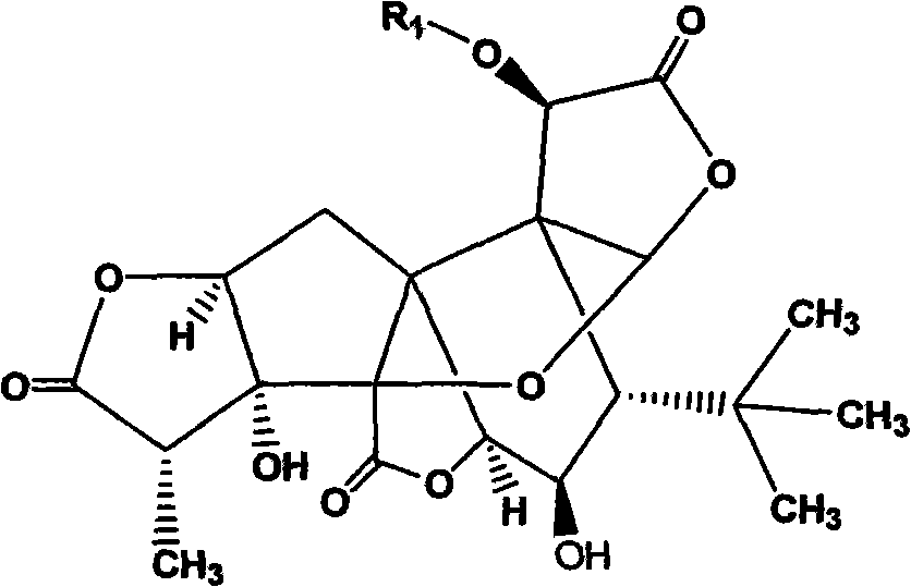 Ginkgolide derivative and application thereof to pharmacy