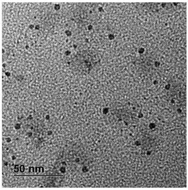 Fluorescent carbon quantum dot solution as well as preparation method and application thereof