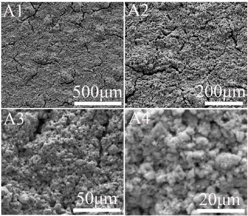 Superhydrophobic coating and preparation method thereof