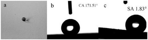 Superhydrophobic coating and preparation method thereof