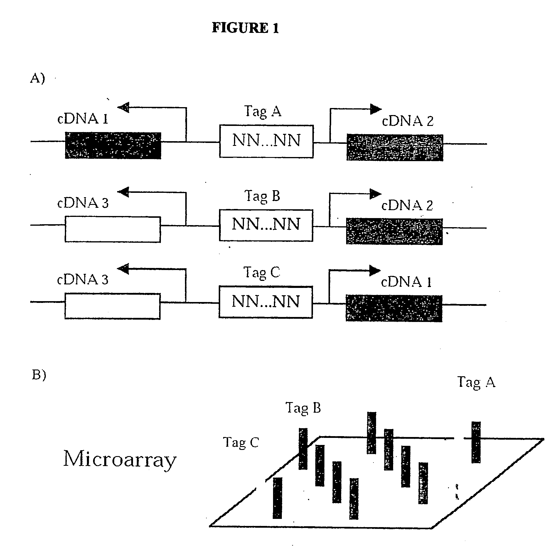 Methods for analysis of genetic interactions