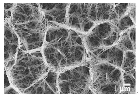 Porous hydroxy calcium phosphate nanometer particle-modified titanium-based titanate nanowire biologic support material and preparation method thereof