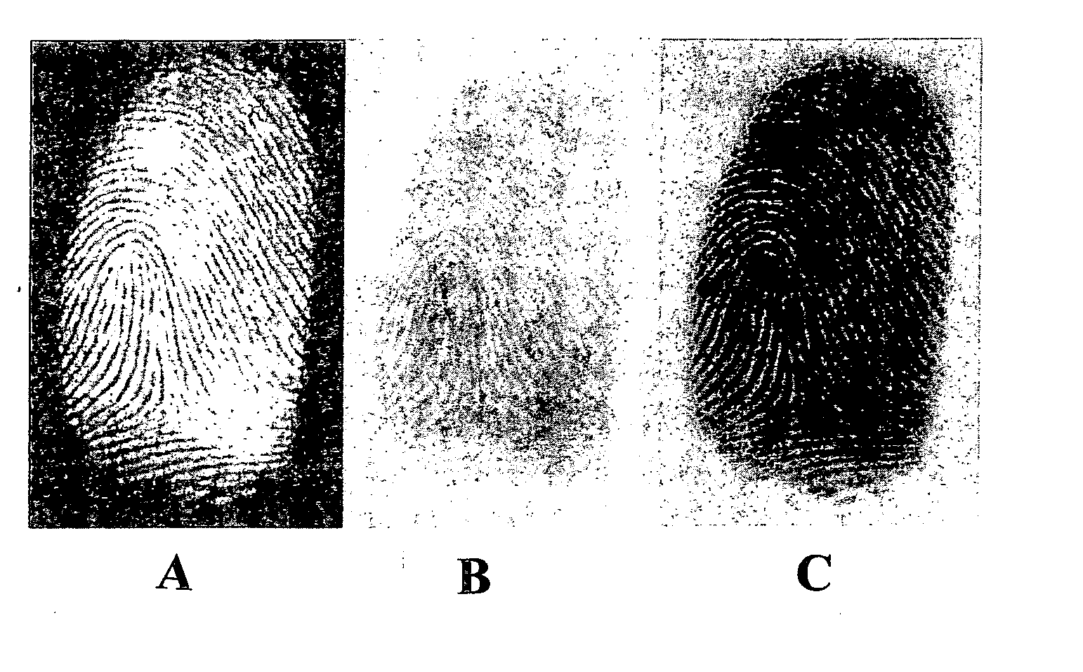 Method of Developing Latent Fingerprints
