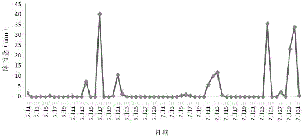 Harmonious seeding time/density cultivation method for corn-soybean strip relay intercrops