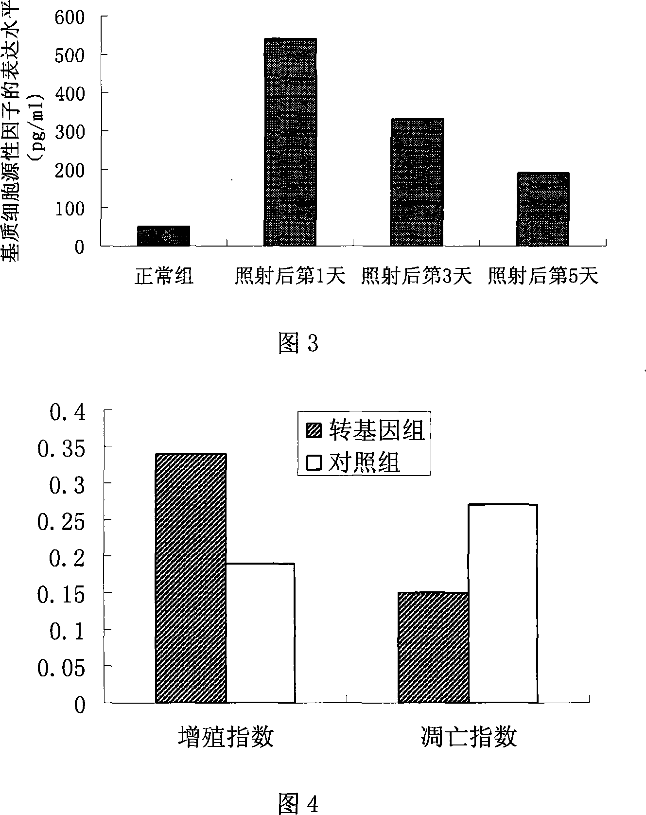Transgenic mesenchyma stem cell for curing radiation enteritis and method of producing the same