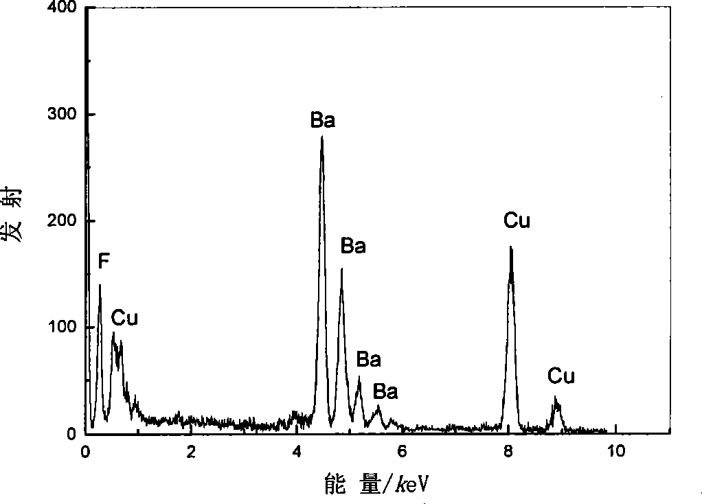 Method for preparing chain shaped barium fluoride nanospheres with DNA as mould plate