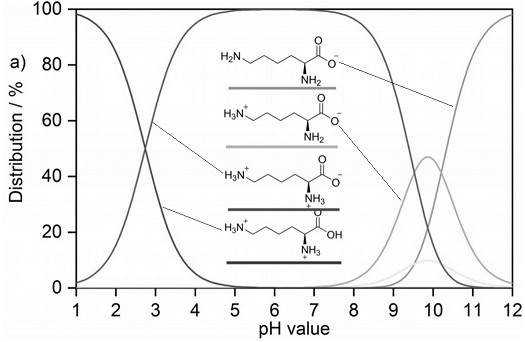 Method for preparing pentanediamine by catalyzing lysine decarboxylation with solid superacid