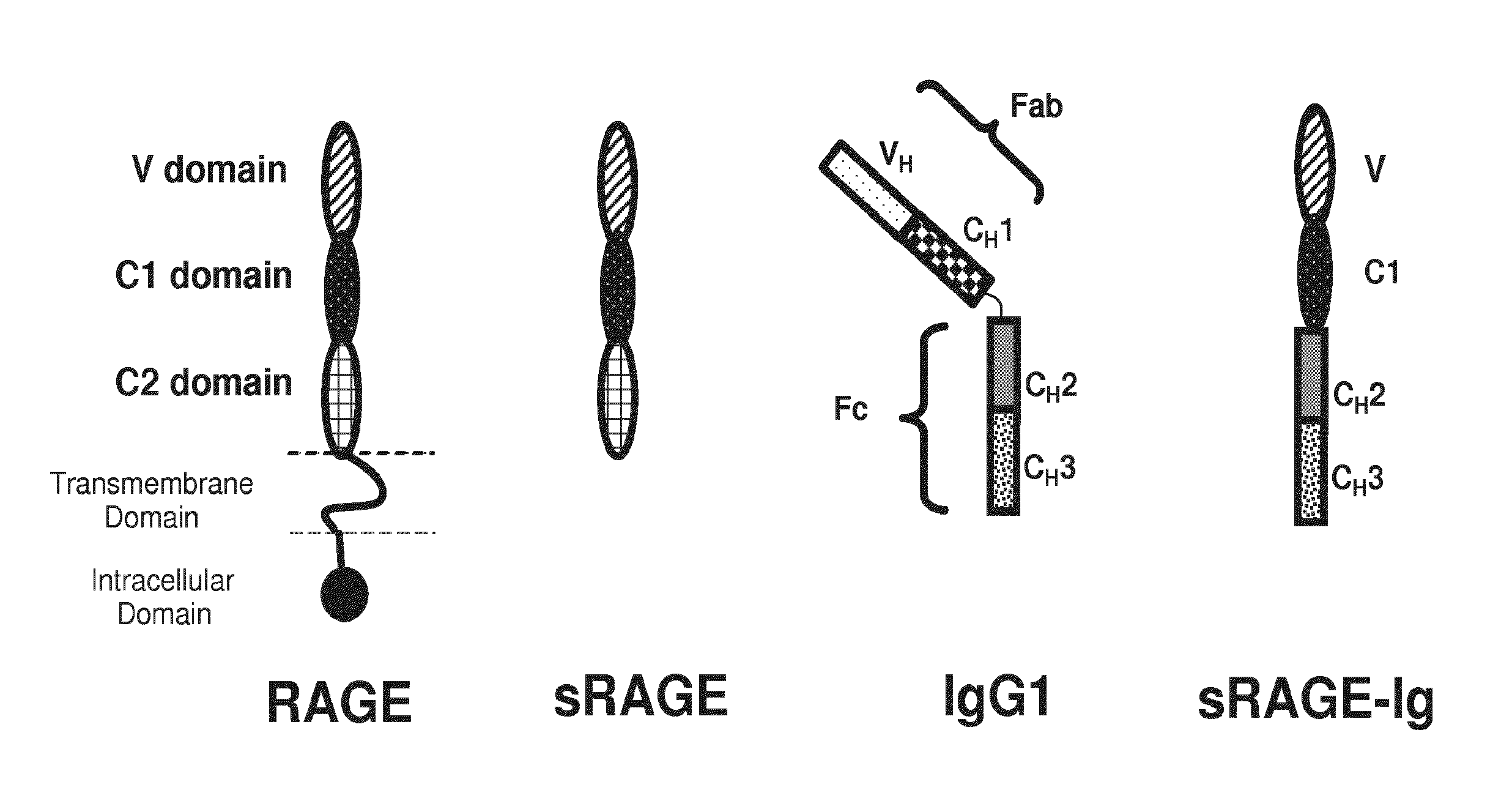 Control of Protein Glycosylation and Compositions and Methods Relating Thereto