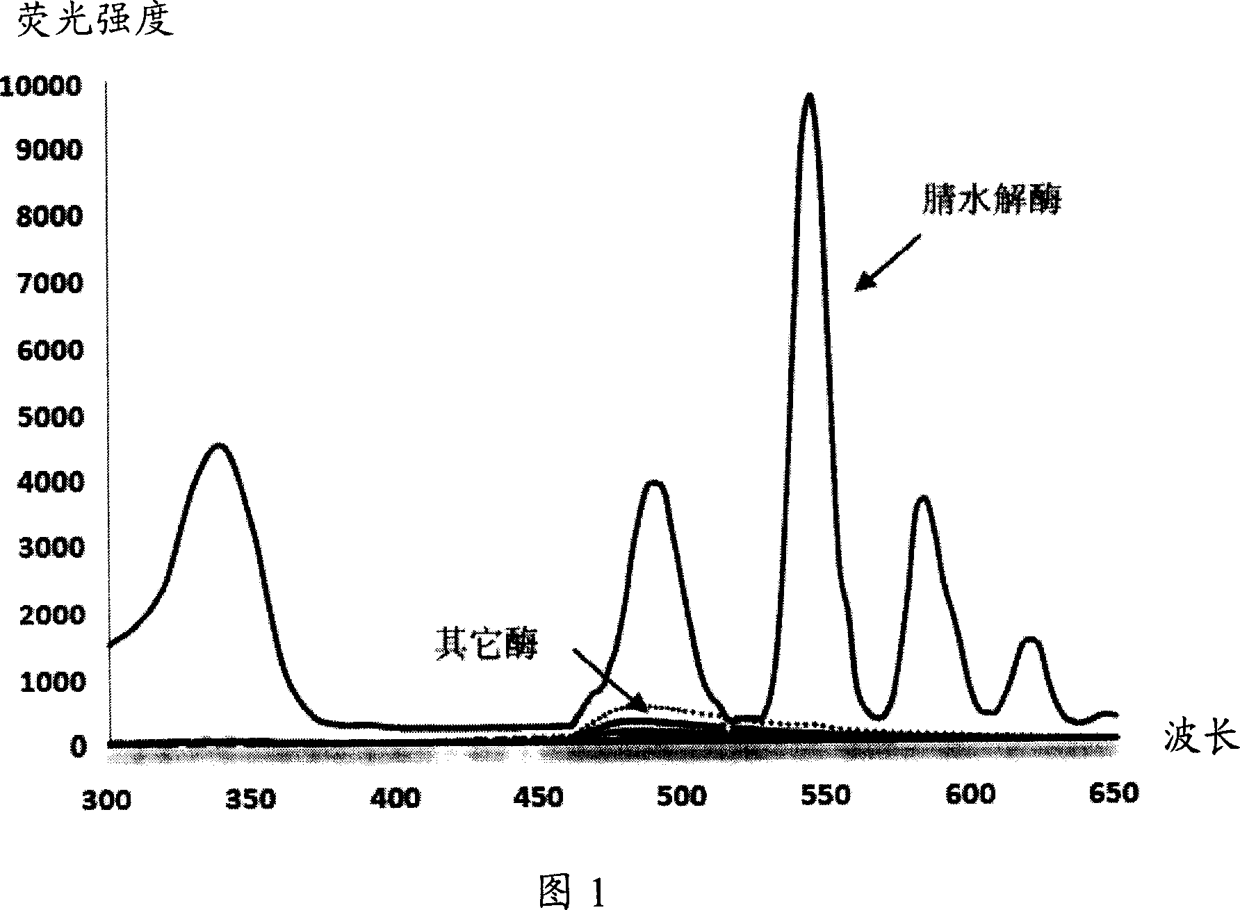 Fluorescent detecting method for nitrile hydrolitic enzyme activity