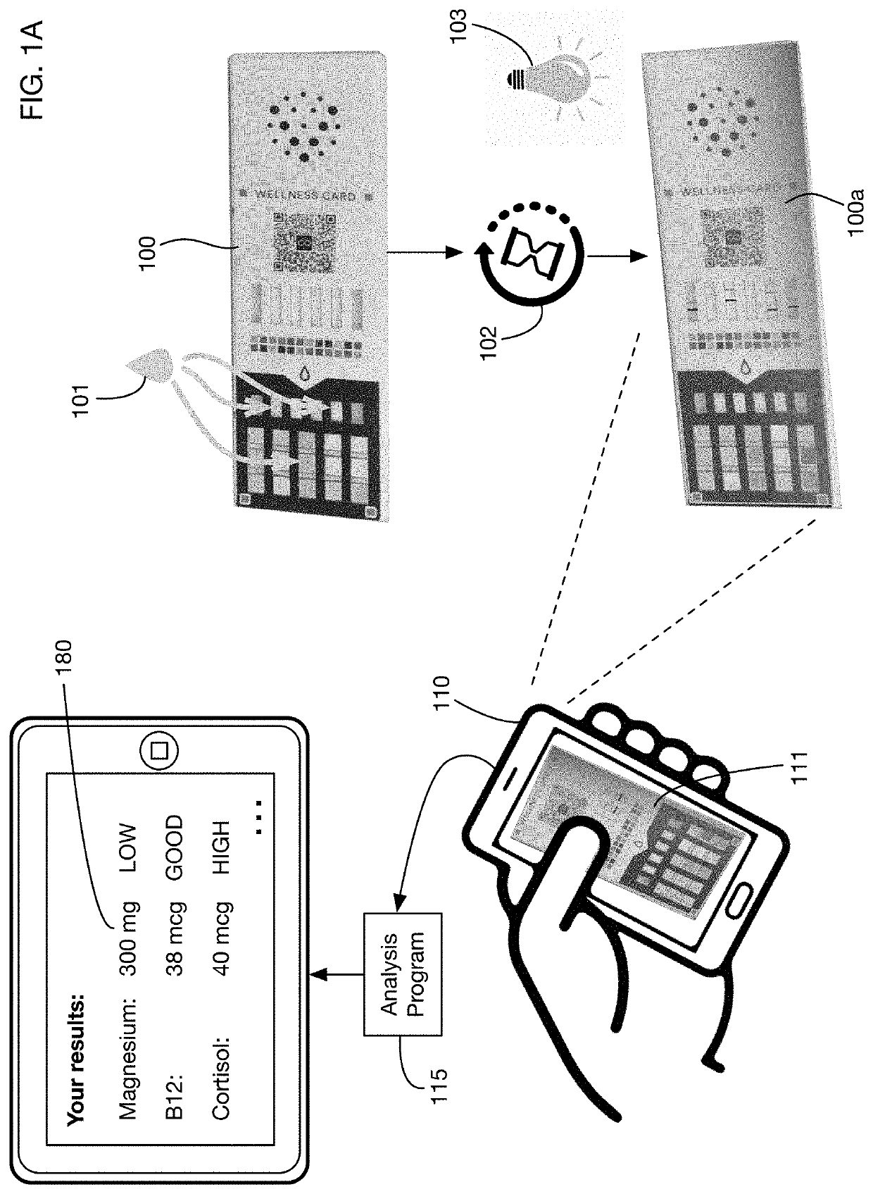 Multi-factor urine test system that adjusts for lighting and timing