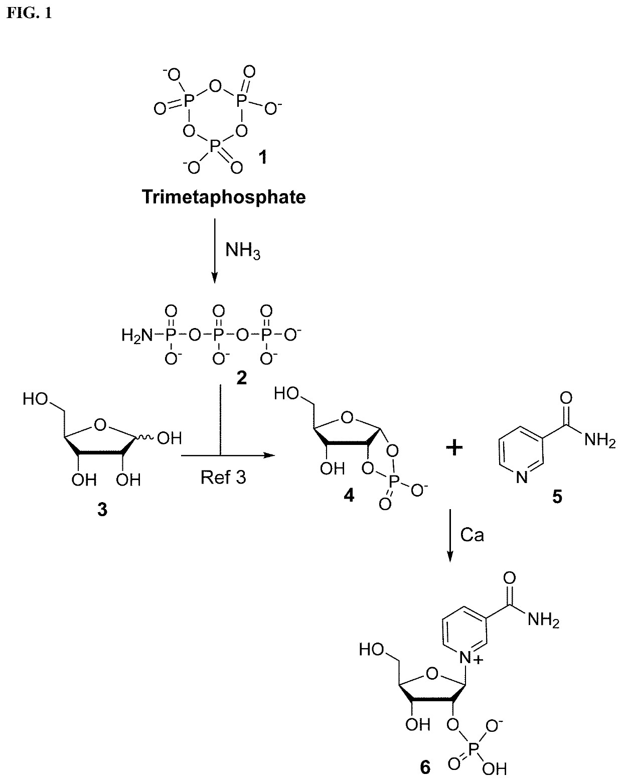 Synthesis and stabilization of nicotinamide ribose and its derivatives