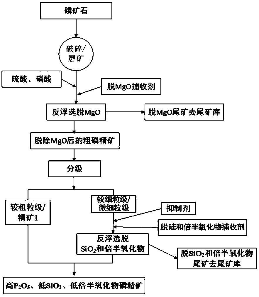 Method for preparing high-quality phosphate concentrate