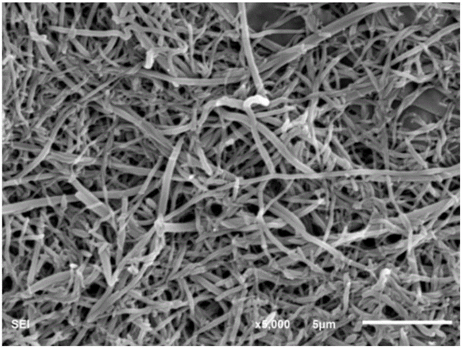 Nickel nanofiber membrane for membrane catalysis and preparation method of nickel nanofiber membrane