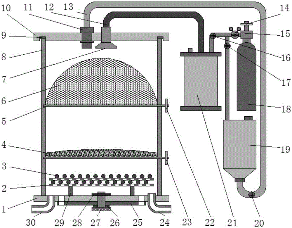 Liquid nitrogen spay frozen granulation vacuum drying device and working method