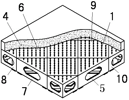 Combined long-span ribbed slab structure