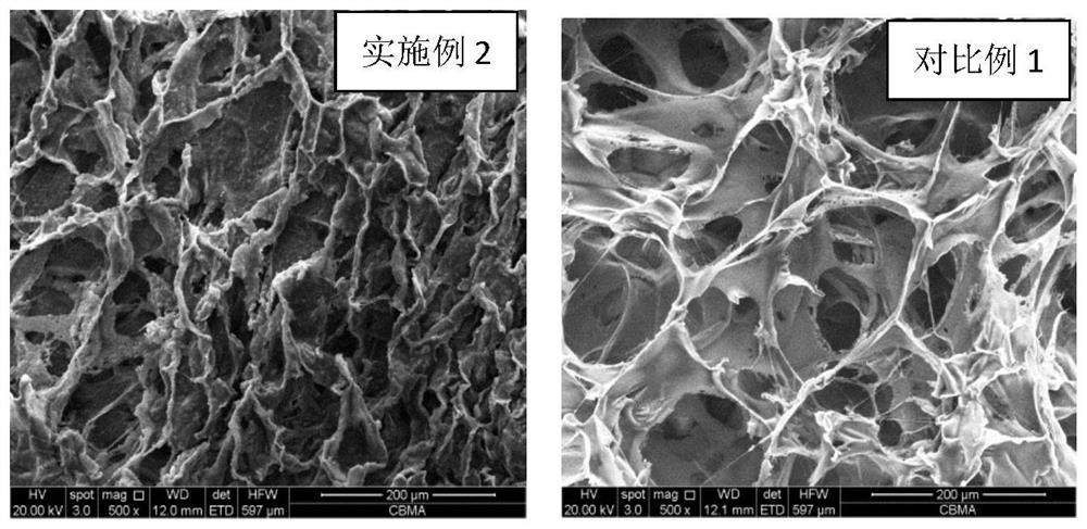 Hard mask repairing patch capable of being sewn and pasted as well as preparation method and application of hard mask repairing patch