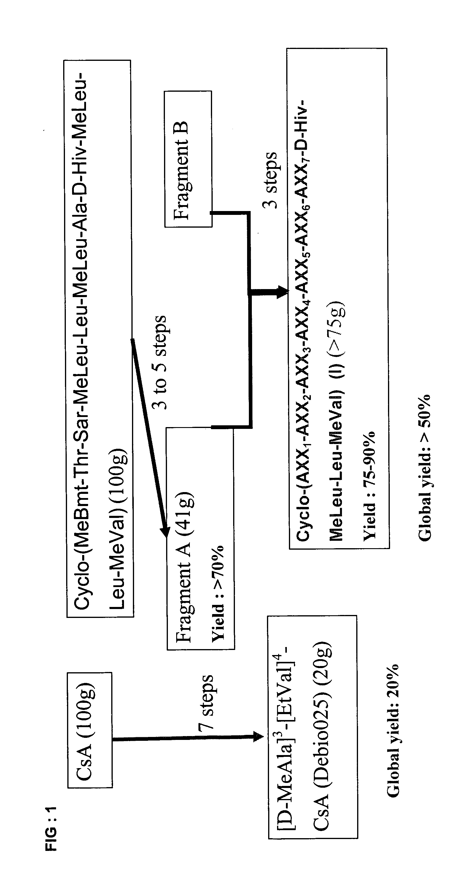 Cycloundecadepsipeptide compounds and use of said compounds as a medicament